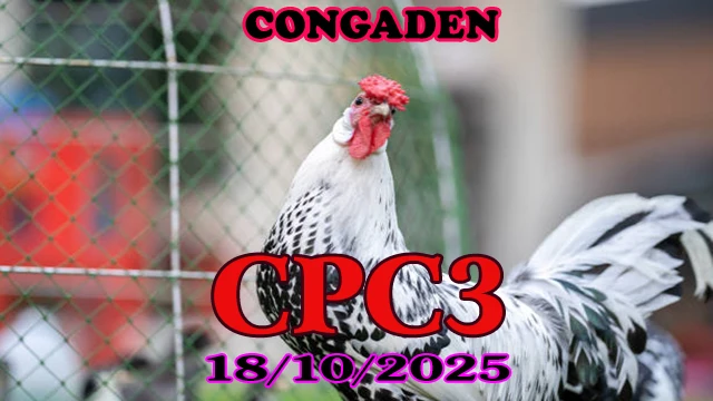 Xem lại đá gà Thomo C3 hôm nay 18/10/2025 1 Xem lại đá gà Thomo C3 hôm nay 18/10/2025