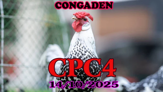 Xem phát lại đá gà Thomo c4 ngày 14/10/2025