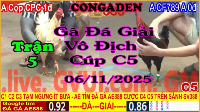 Gà Đá Giải C5 Trận 4: A.Cọp CPC (1đ-đỏ) vs A.CF789 A (0đ-xanh)