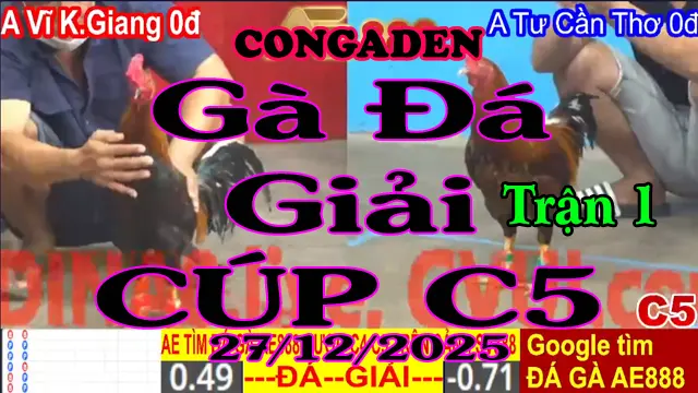 Gà Đá Giải C5 Trận 1 A.Vĩ K.Giang (0đ-đỏ) Vs A. Tư C.Thơ (0đ-xanh)-Hang Cân 3.3Kg