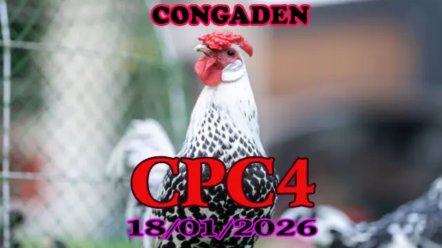 Clip đá gà trực tiếp CPC4 hôm nay 18012026